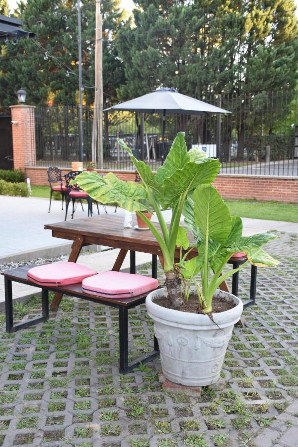 Casa Campus Pilar Suites エクステリア 写真